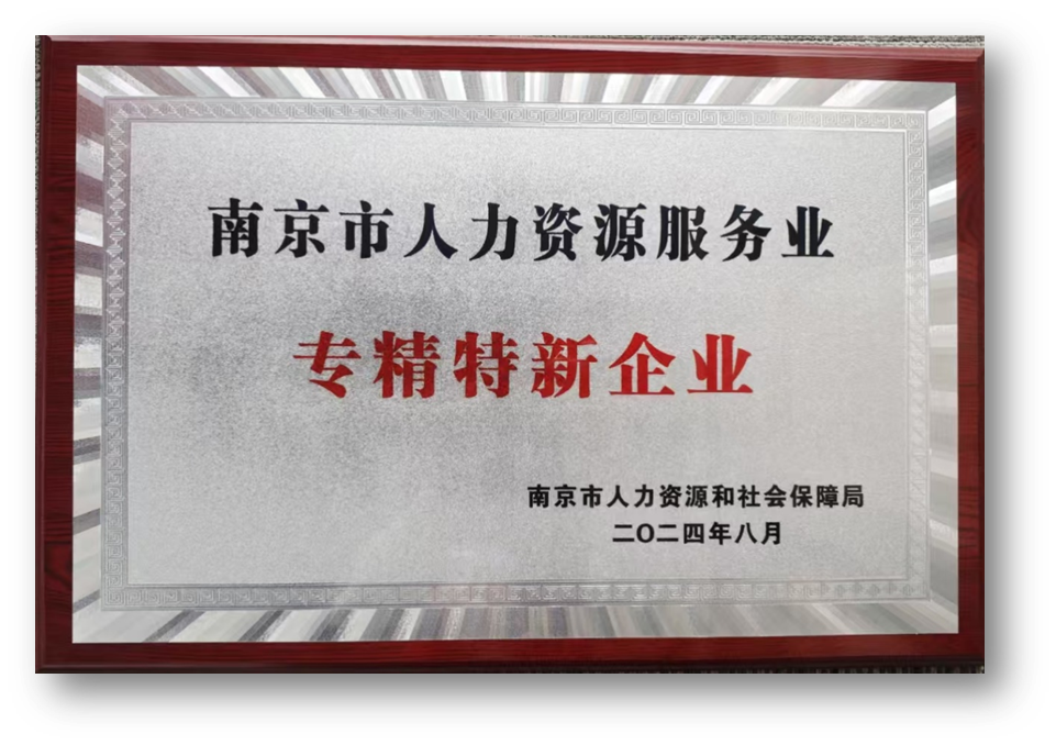 三项大奖！凯发一触即发集团南京公司获评南京市人力资源服务骨干企业、专精特新企业双标杆