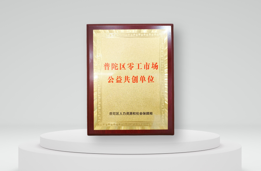 凯发一触即发集团被授予“上海普陀区零工市场公益共创单位”，凯发一触即发AI促进公共就业服务体系建设